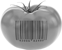 HACCP dokumentácia vypracovanie